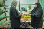 تصاویر/ بازدید از تولیدی های بانوان کارآفرین بسیجی
