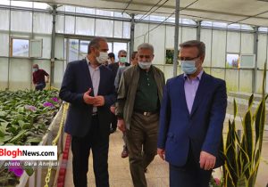 تصاویر/ بازدید معاون هماهنگی و اقتصادی معاون اول رئیس جمهور از پروژه بزرگ گل ارکیده در نوشهر