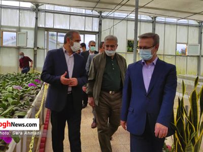 تصاویر/ بازدید معاون هماهنگی و اقتصادی معاون اول رئیس جمهور از پروژه بزرگ گل ارکیده در نوشهر