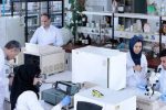 تغییر ساختار دانشبنیان، در تقسیمکار اجتماعی