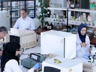 تغییر ساختار دانشبنیان، در تقسیمکار اجتماعی