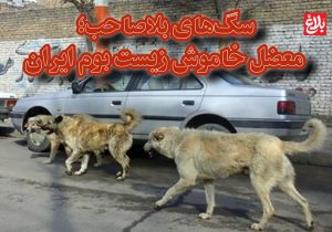سگهای بلاصاحب؛ معضل خاموش زیست بوم ایران