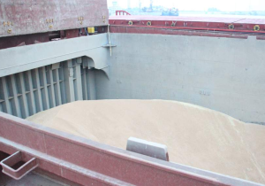 ورود کشتی ۳ هزارتنی گندم به بندر نوشهر