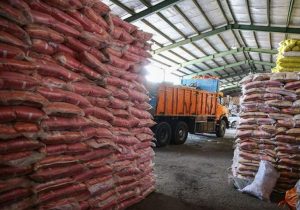 کشف ۳۰۰۰ تن برنج احتکاری تا دستگیری کلاهبردار برنجی!