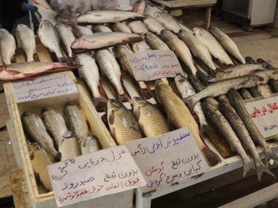 نبض خزر در بازار نوشهر