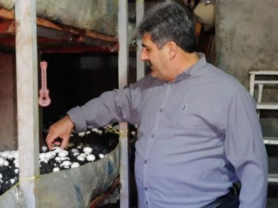 روایت یک کارآفرینی موفق در نوشهر